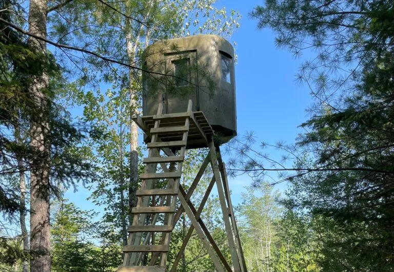 Heated hunting blind in the central Maine woods